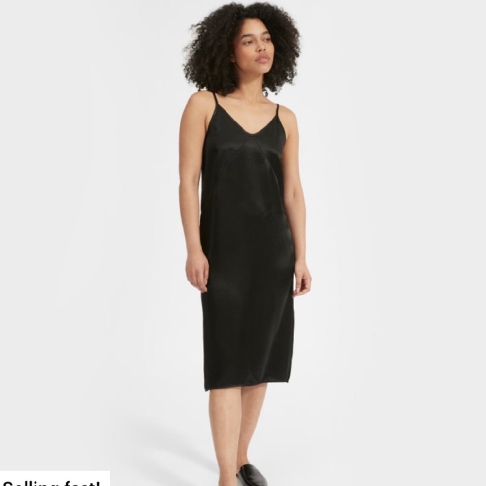 Everlane The Party Slip Dress